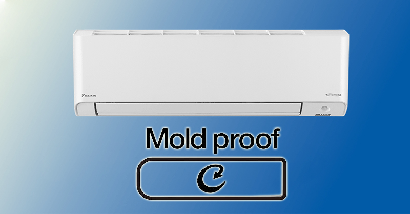 Tìm hiểu về chế độ MOLD/MOLD PROOF