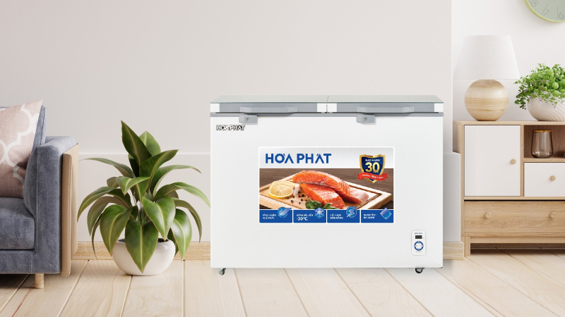 Tủ Đông Mát Hòa Phát 245 Lít HPF BD6245.T1