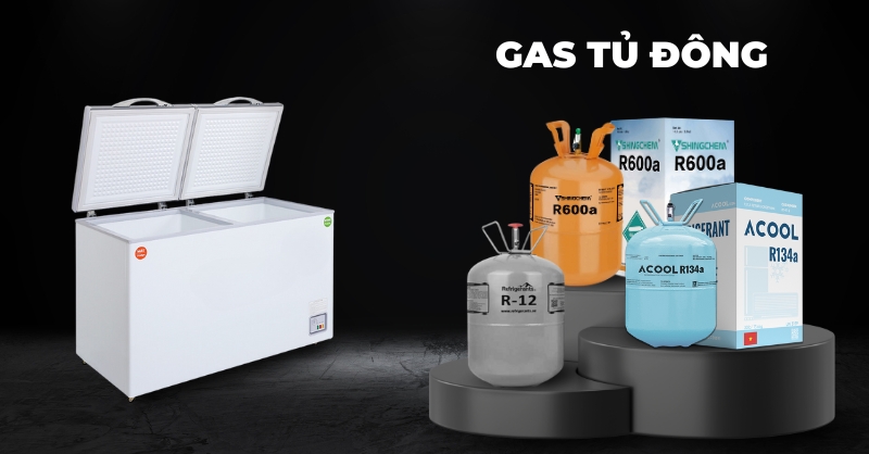 Tổng hợp các loại gas trong tủ đông phổ biến